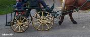 Carriage - Marathon for leisure - Other brand -  