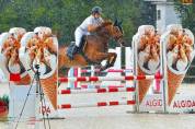 Vendita PONY di 6 anni sauro