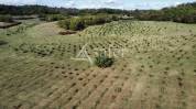Other agricultural property  Dordogne