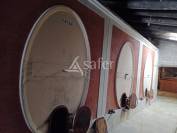 Azienda viticola / Vigneto In vendita Charente-Maritime