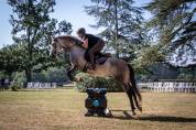 Cours d'équitation et travail du cheval