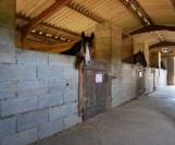 Centro di stagione cavallo In vendita Tarn-et-Garonne