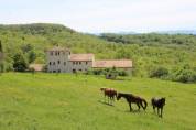 Equestrian property  Ariège