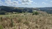 24HA DE PRAIRIE EN AVEYRON