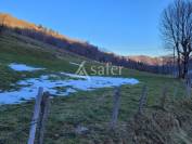 Other agricultural property  Cantal