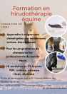 Formation hirudothérapie équine