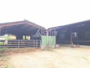 Azienda ovina In vendita Landes
