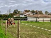 Equestrian property  Ain