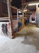 Proprietà equestre In vendita Landes