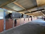 Pension boxs paddocks - Educ’horse (17 - Corme Ecluse)