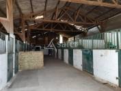 Azienda agricola In vendita Mayenne