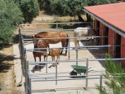 Equestrian farm  Tarragona