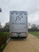 Stephex STX Mercedes Actros 7 paard vrachtwagen 