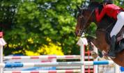 Proprietà equestre In vendita Alpes-Maritimes