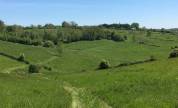 26 ha à vendre - Normandie - Région Livarot (14)