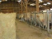 Ferme d'élevage en Charollais SAU 30 à 115 ha