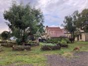 Ferme d'élevage en Charollais SAU 30 à 115 ha