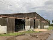 Ferme d'élevage en Charollais SAU 30 à 115 ha