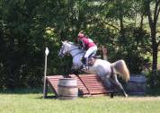 Mare Saddle Horse For sale 2009 Grey