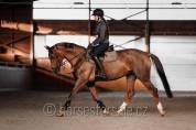 Merrie Tsjechisch sportpaard Te koop 2014 Vos ,  Guidam Sohn