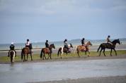 Domaine equestre et touristique dans le Cotentin 