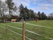 Azienda ovina In vendita Loire-Atlantique