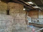 Sheep farm  Loire-Atlantique
