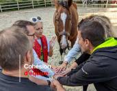Formations Management assistées par le cheval