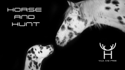 Horse & Hunt : Équipement équestre de qualité en ligne