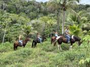 Ferme equestre d'écotourisme à Bahia, Brésil