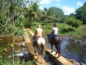 Equestrian farm  