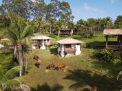 Ferme equestre d'écotourisme à Bahia, Brésil