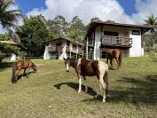 Ferme equestre d'écotourisme à Bahia, Brésil