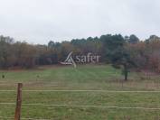 Azienda orticoltrice In vendita Dordogne