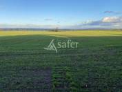 Other agricultural property  Allier