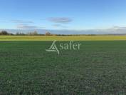 Other agricultural property  Allier