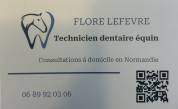 Flore Lefevre Technicien dentaire équin 