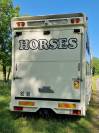 IVECO 7.5T, 2/3 Chevaux, Home-car.
