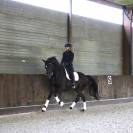 Merrie KWPN Nederlands sportpaard Te koop 2020 Zwart ,  HERMES