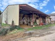 Azienda agricola In vendita Corrèze