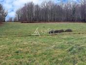 Azienda agricola In vendita Corrèze