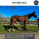 Mare Thoroughbred For sale 2020 Bay
