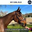Mare Thoroughbred For sale 2020 Bay