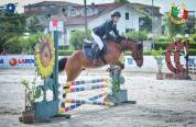 Pony da salto italiano 2015 perfetto per brevetto
