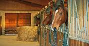 Pension de chevaux (proche de Besançon)