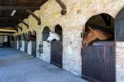 Luxurious equestrian property  Piacenza