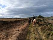 Balades et randonnées à cheval en Bretagne