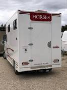 Horsebox HGV Trans Box New Svelto4 R 5pl  2024 New