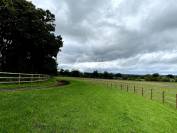 Secteur Cabourg - Haras d'élevage et d'entrainement