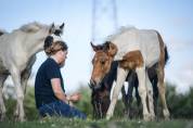 Veulen (ml) Andere paarden rassen Te koop 2023 Bont
